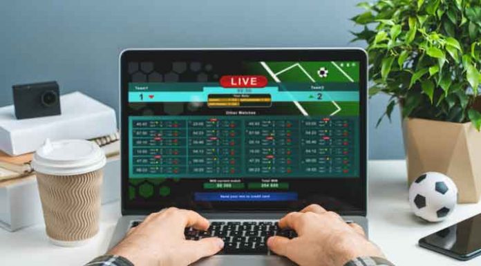 The Ultimate Beginner’s Guide to Betting Sites in the UAE